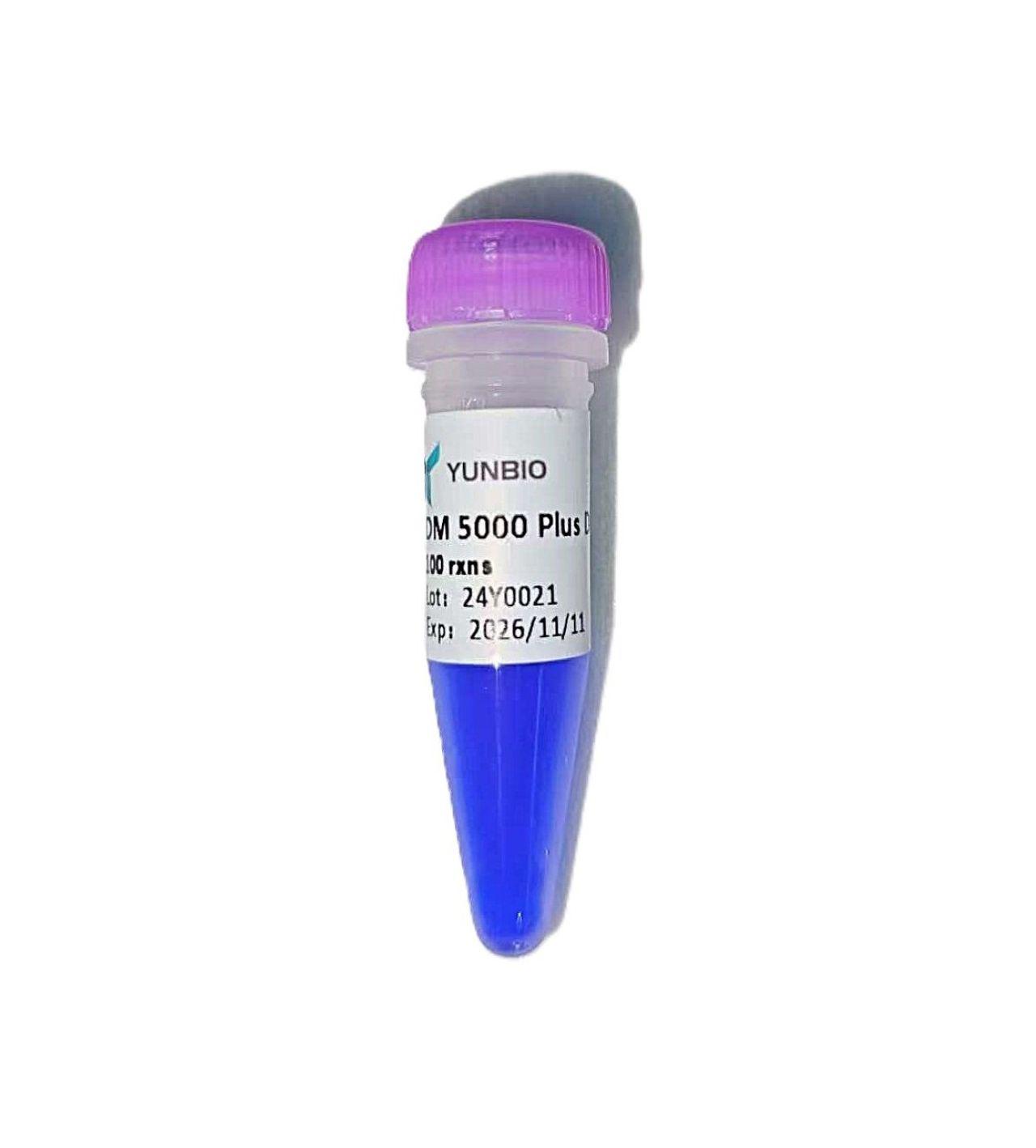 DM5000 Plus DNA Marker（100-5000 bp)