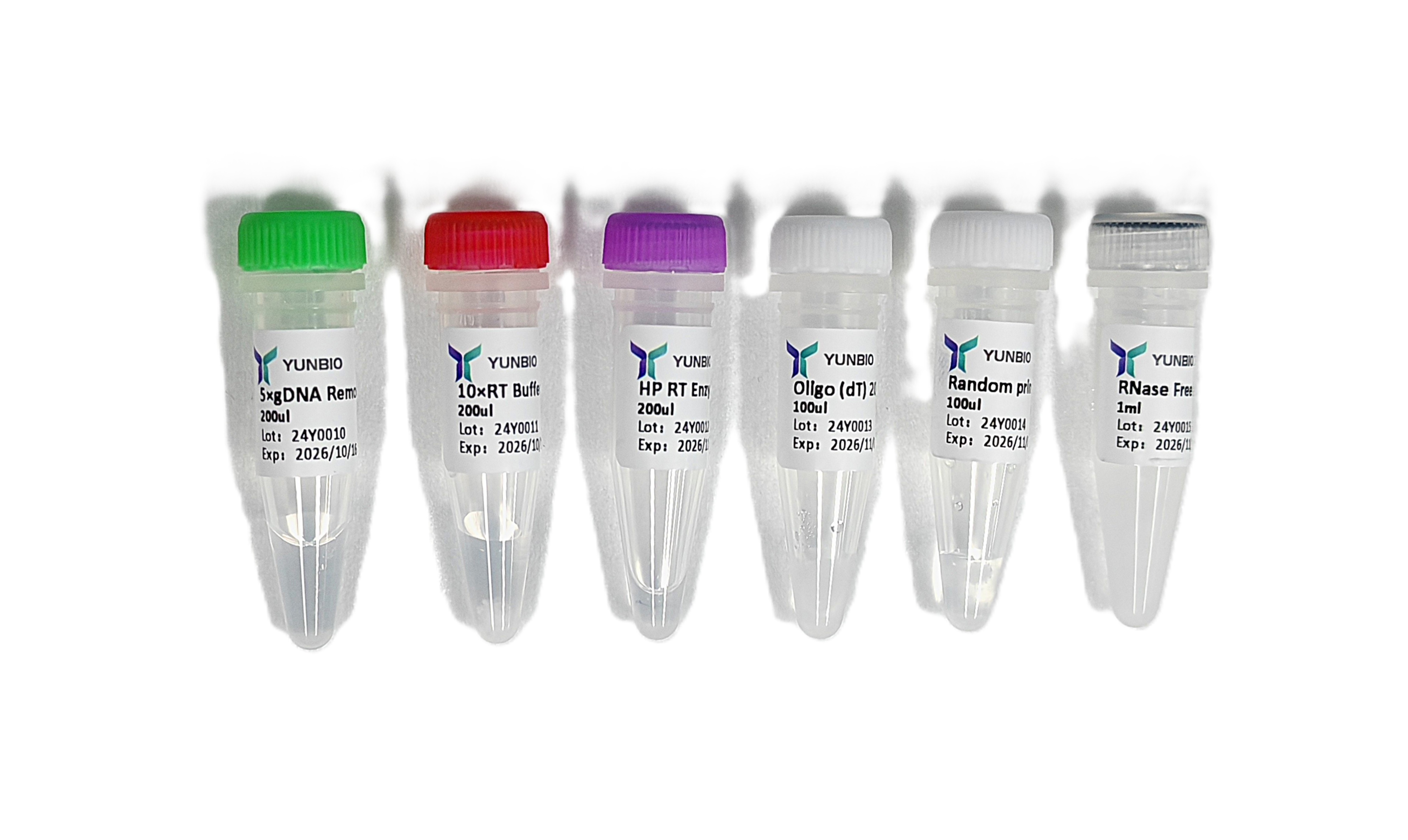HP 1st Strand cDNA Synthesis Kit (+gDNA Remove)