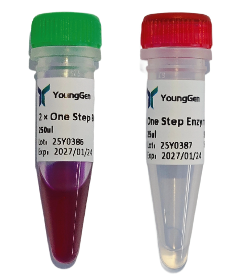 HP One Step RT-PCR Kit