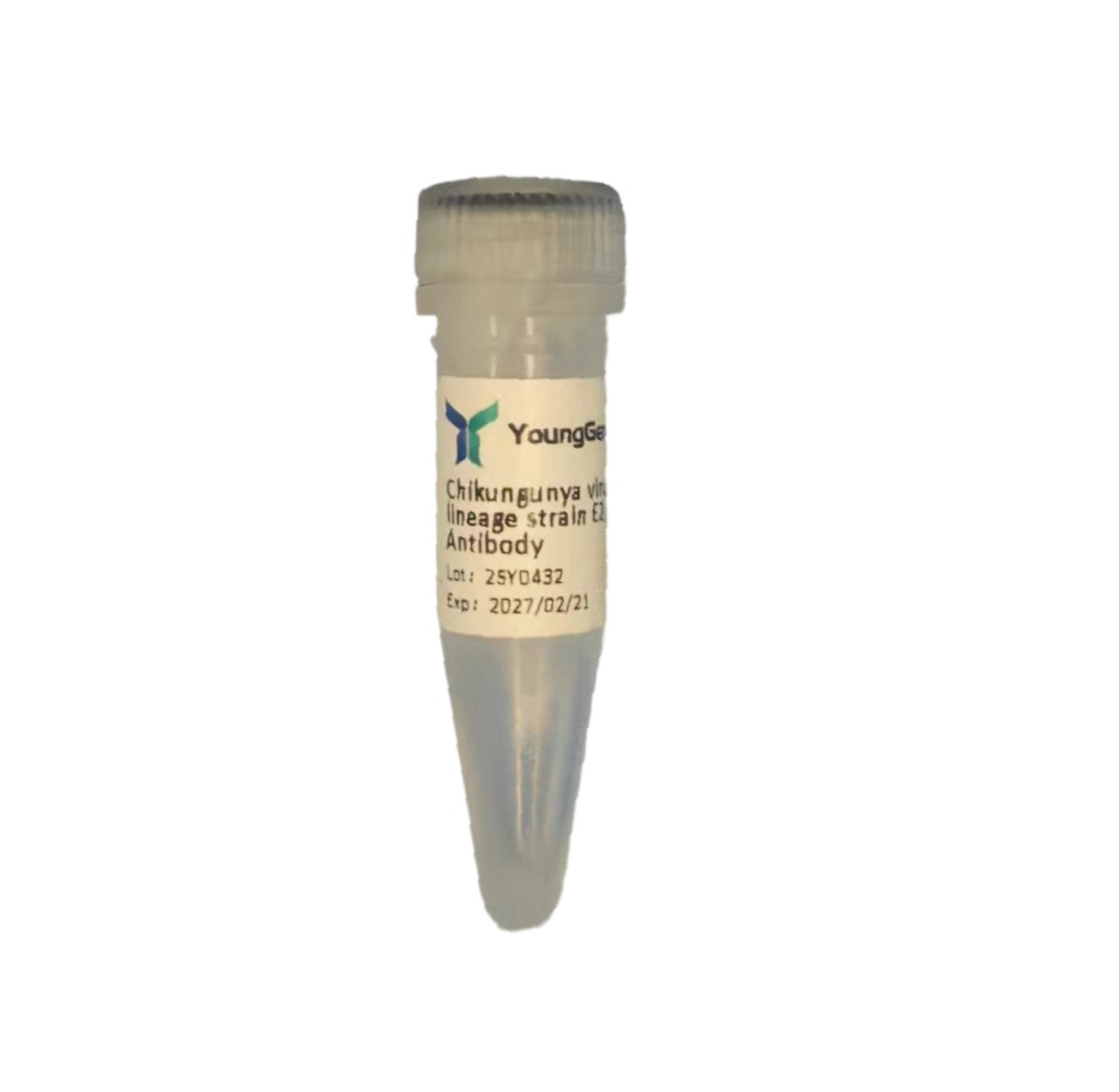 Chikungunya virus(CHIKV)/ECSA lineage strain  E2/Envelope 2 Antibody