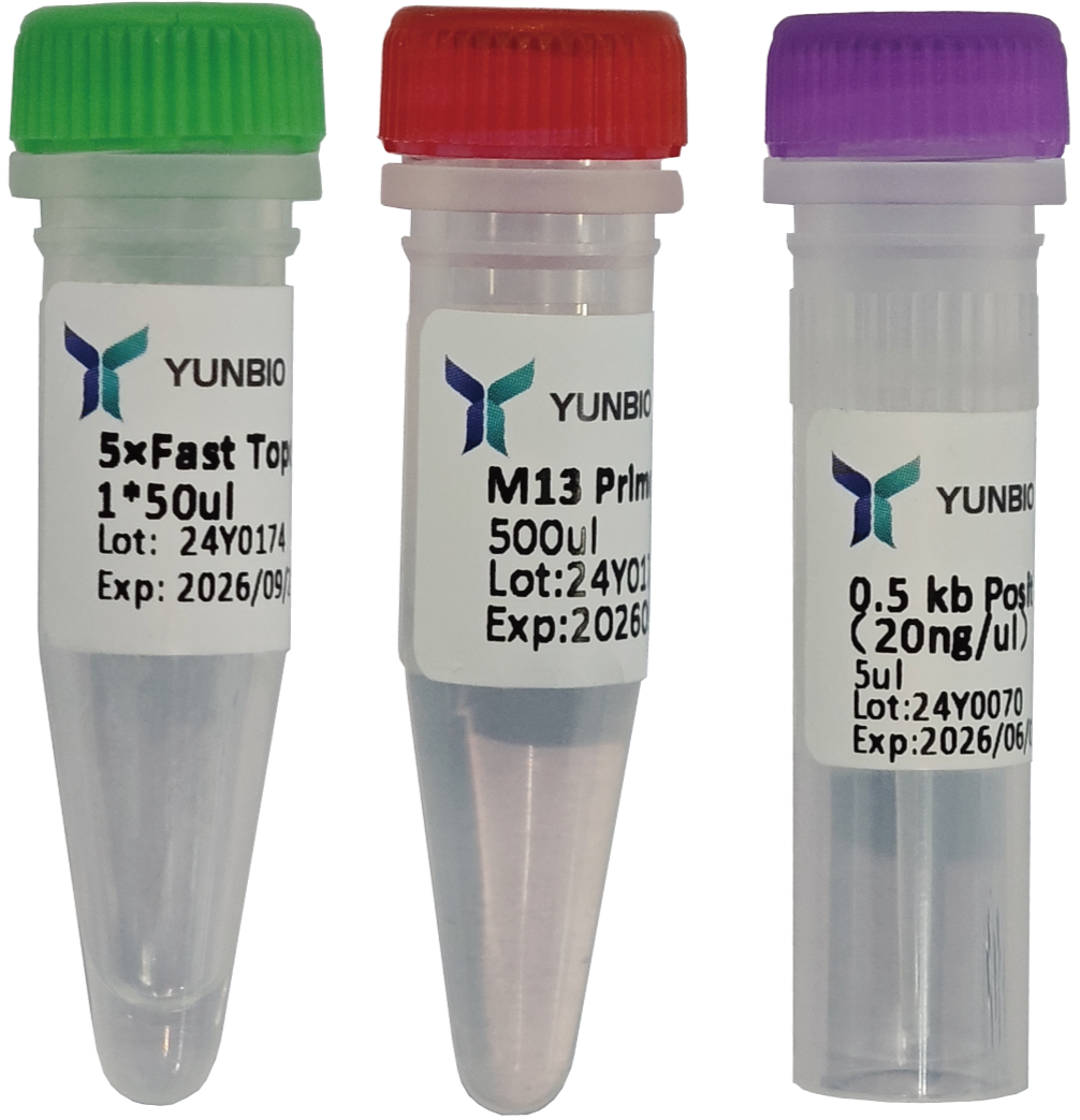 5min Fast TOPO Cloning Kit