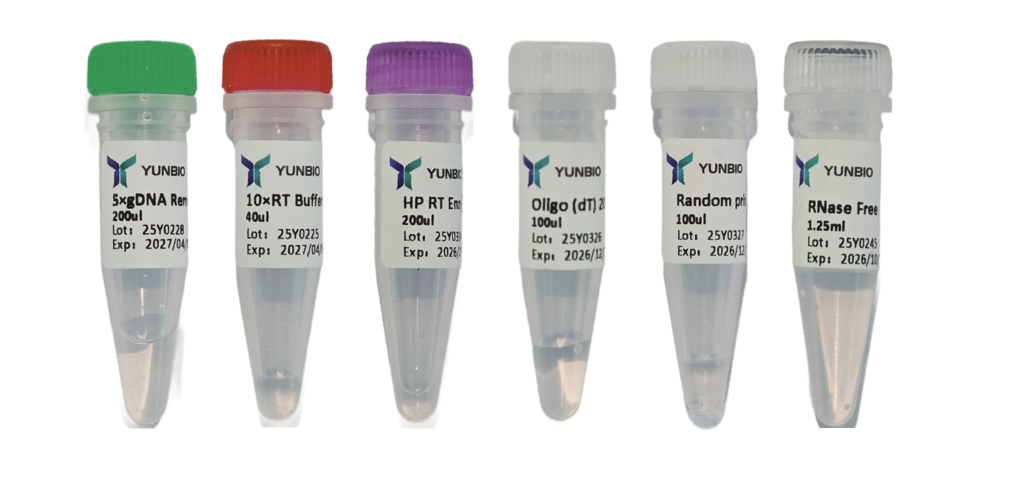 HP 1st Strand cDNA Synthesis Kit (+gDNA Remove)