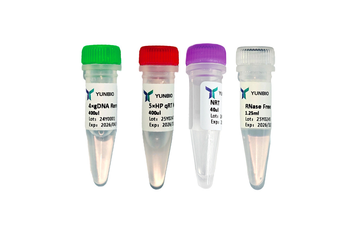 High Performance qRT  Master Mix(+gDNA Remove)