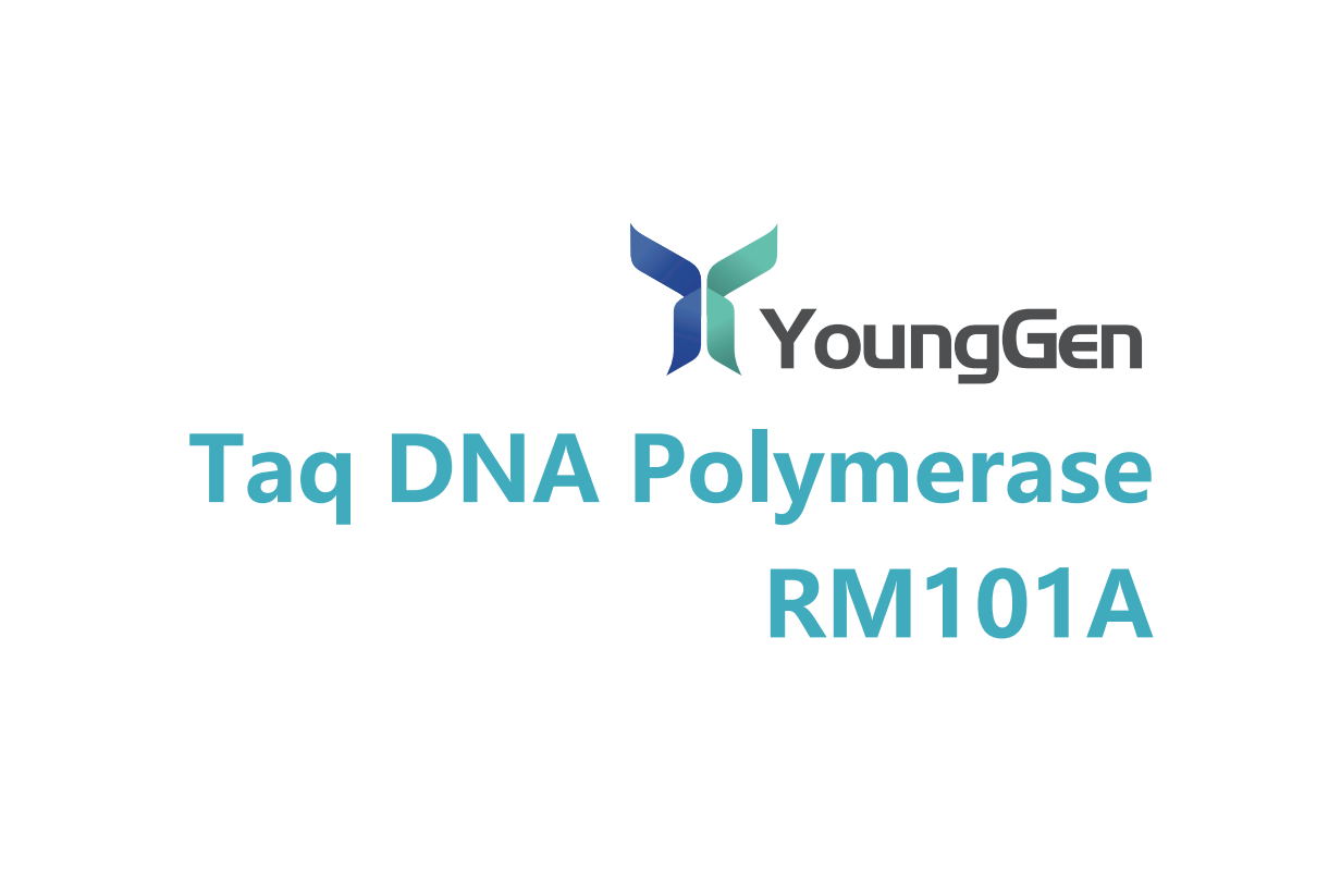Taq DNA Polymerase