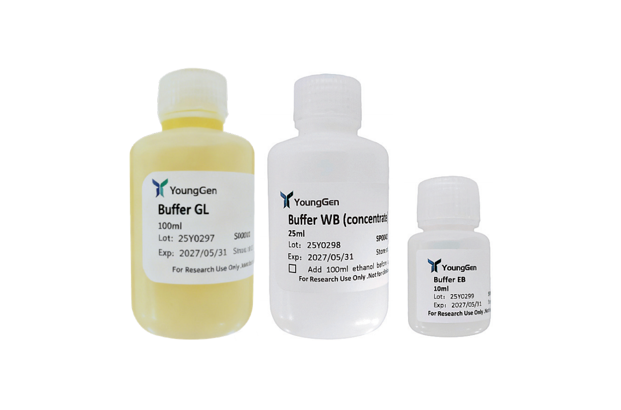 Gel/PCR  Extraction Kit