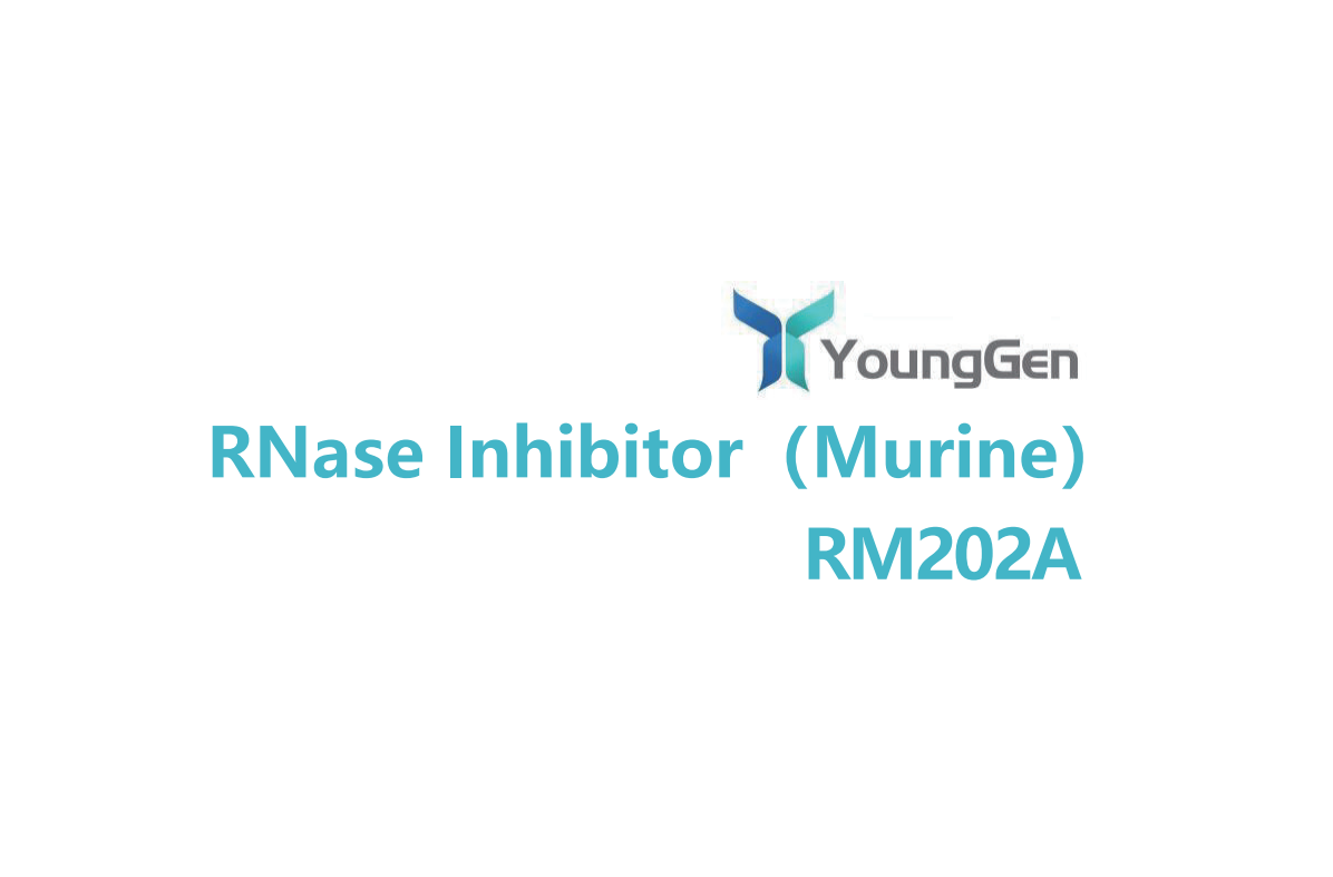 RNase Inhibitor（Murine）