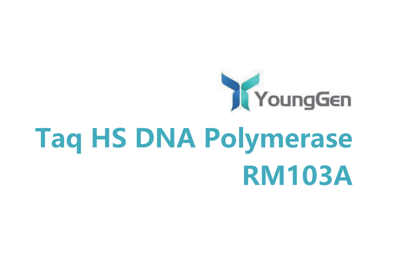 Taq HS DNA Polymerase