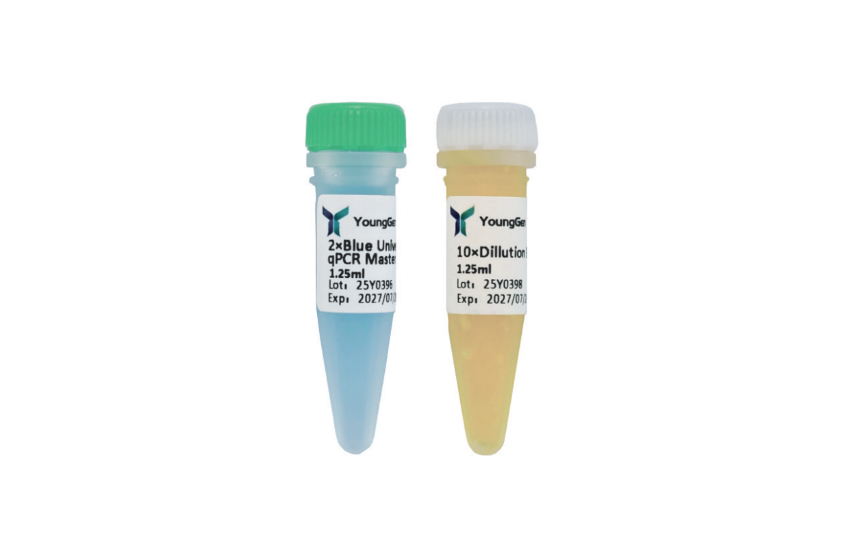 2×Color Universal SYBR qPCR Mix
