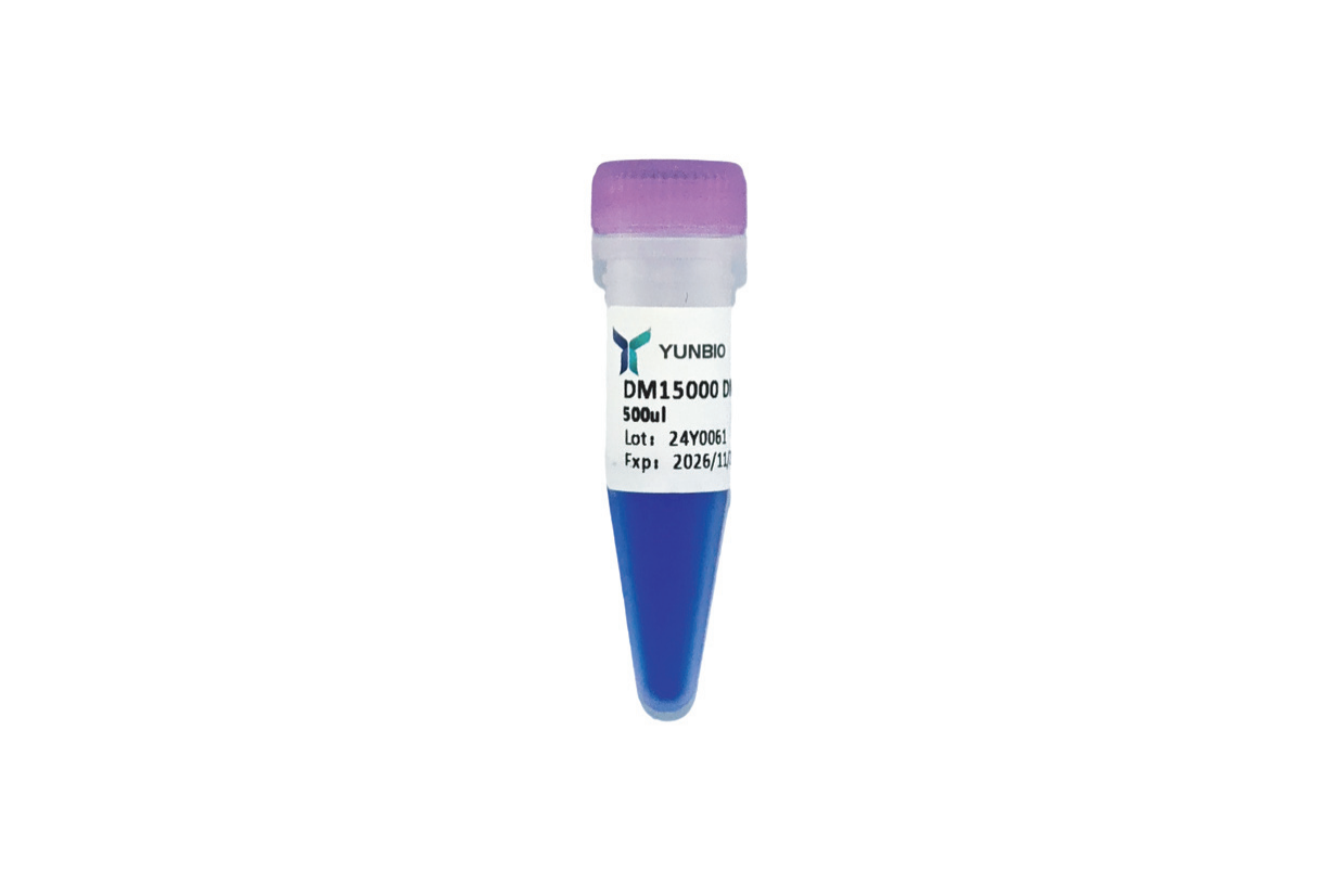 DM15000 Plus DNA Marker（100-15000 bp)