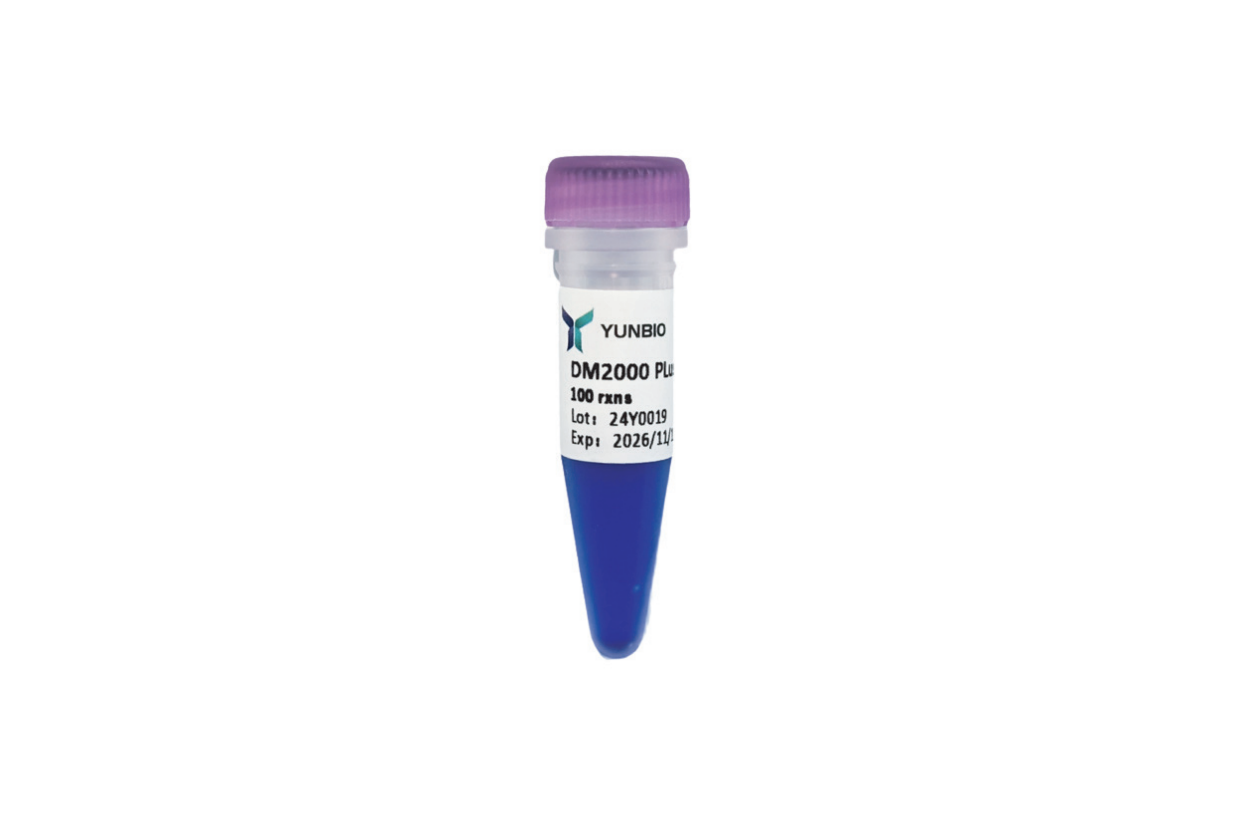 DM2000 Plus DNA Marker（100-2000 bp)