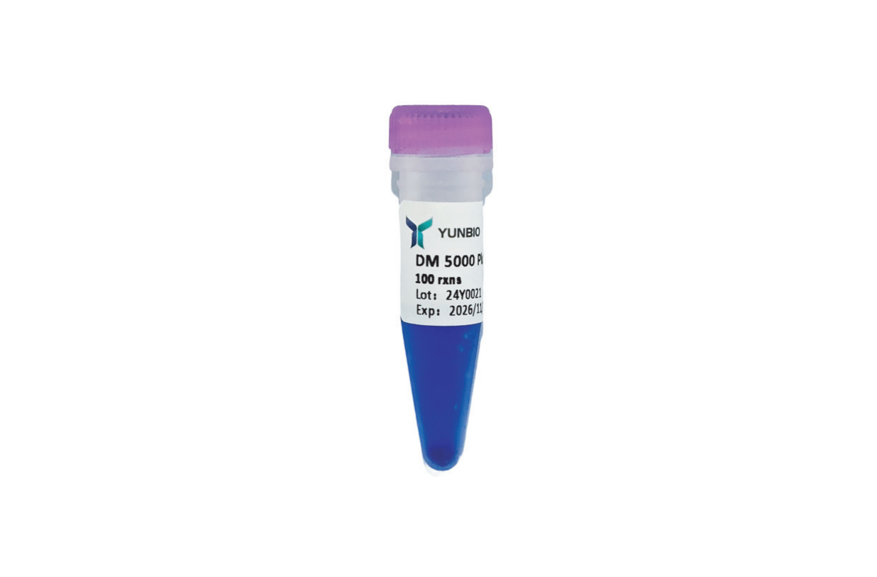DM5000 Plus DNA Marker（100-5000 bp)