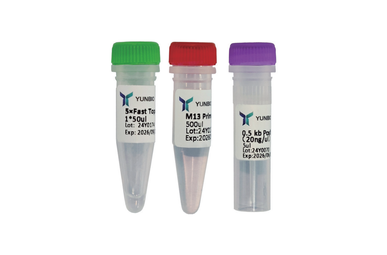 5min Fast TOPO Cloning Kit