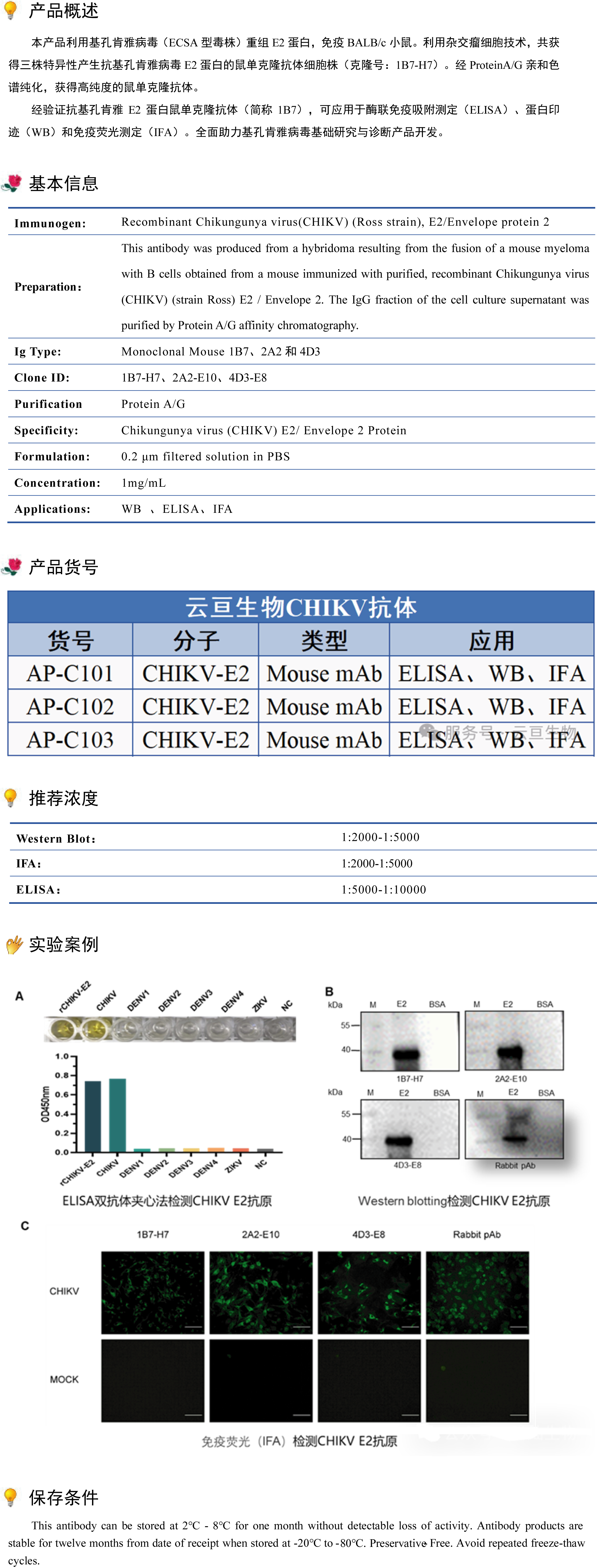 单克隆抗体.png