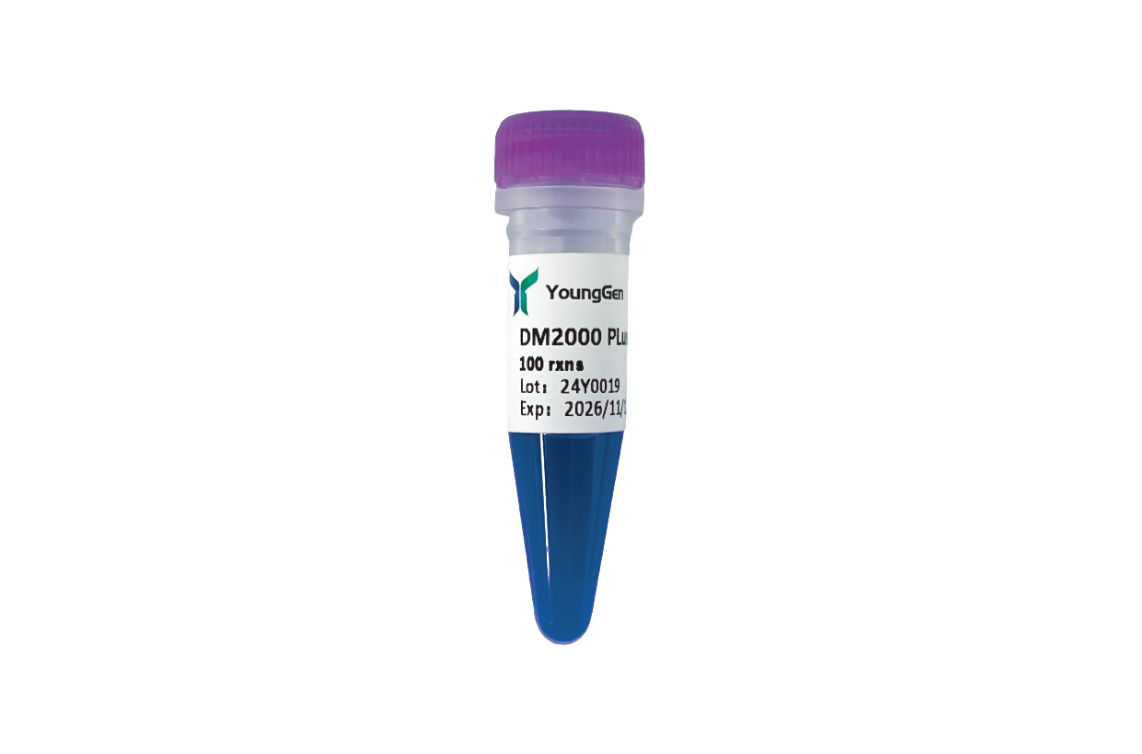 DM2000 Plus DNA Marker（100-2000 bp)