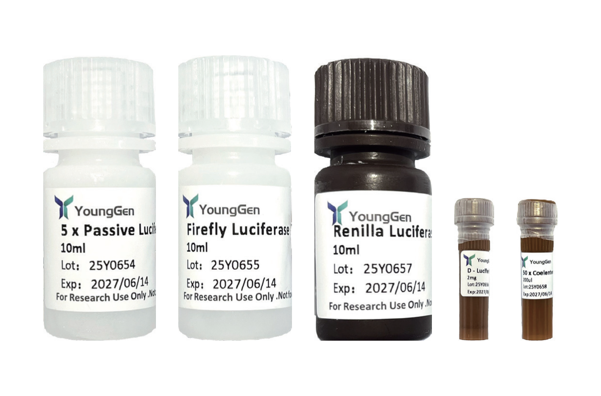 Firefly/Renilla Luciferase Dual Assay Kits