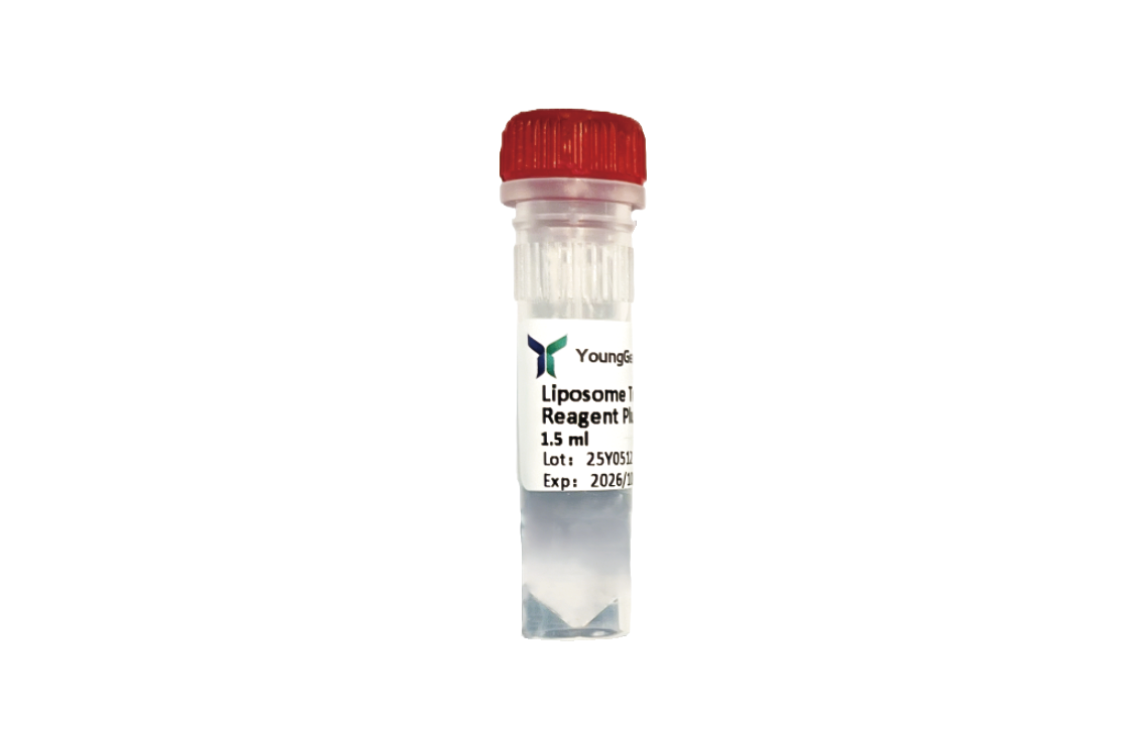 Liposome Transfection Reagent Plus
