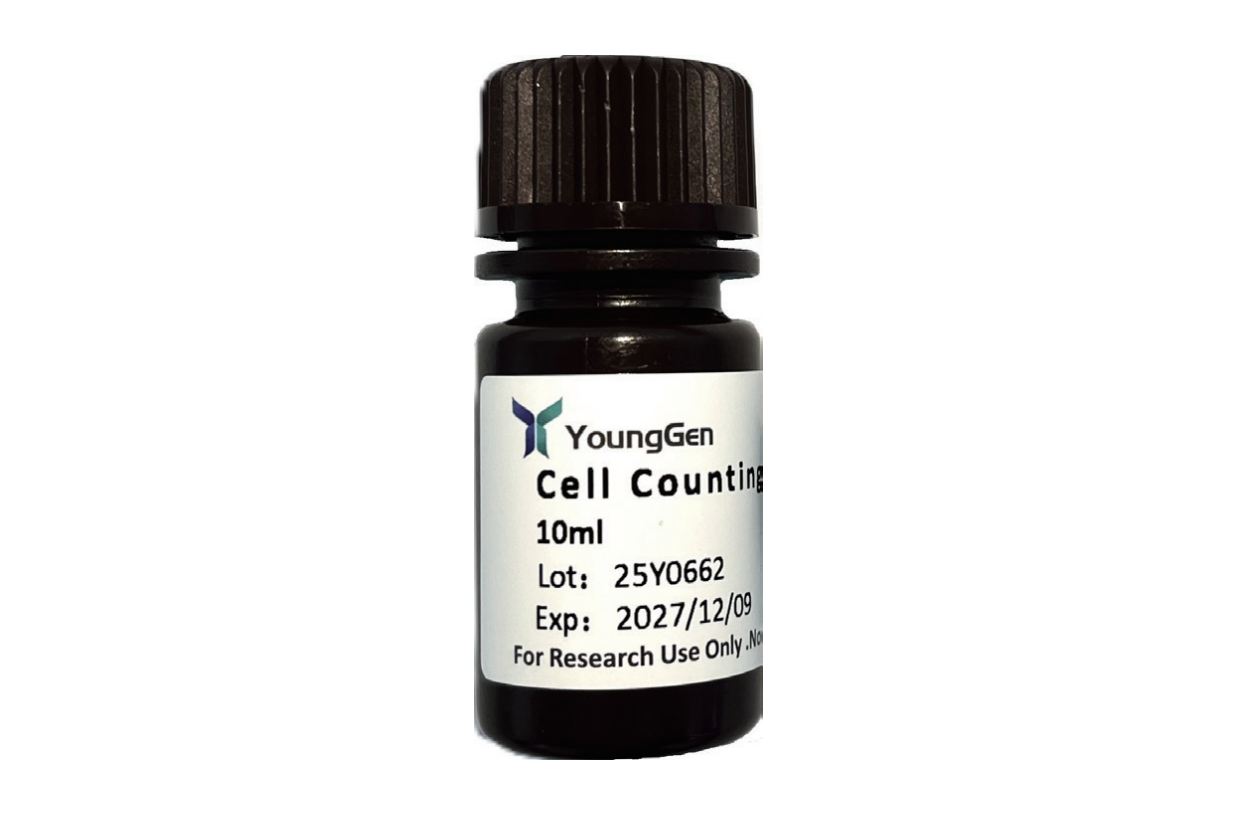 Cell Counting Kit-8 (CCK-8)