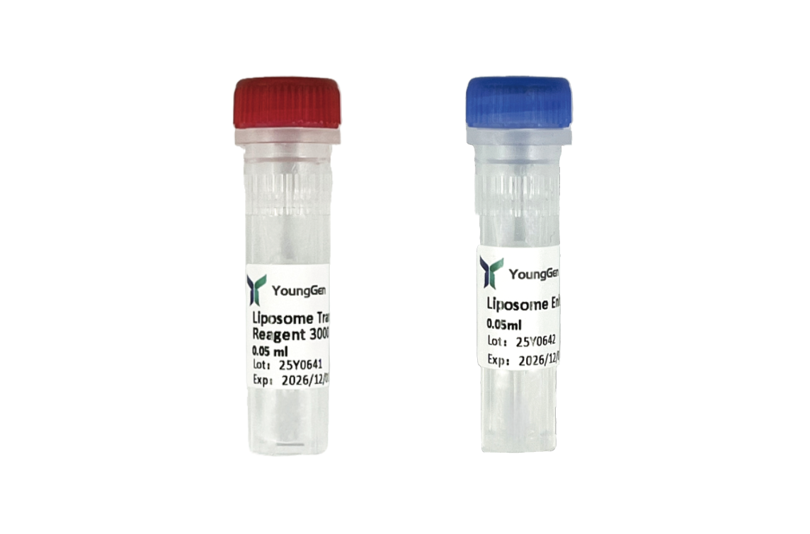 Liposome Transfection Reagent 3000