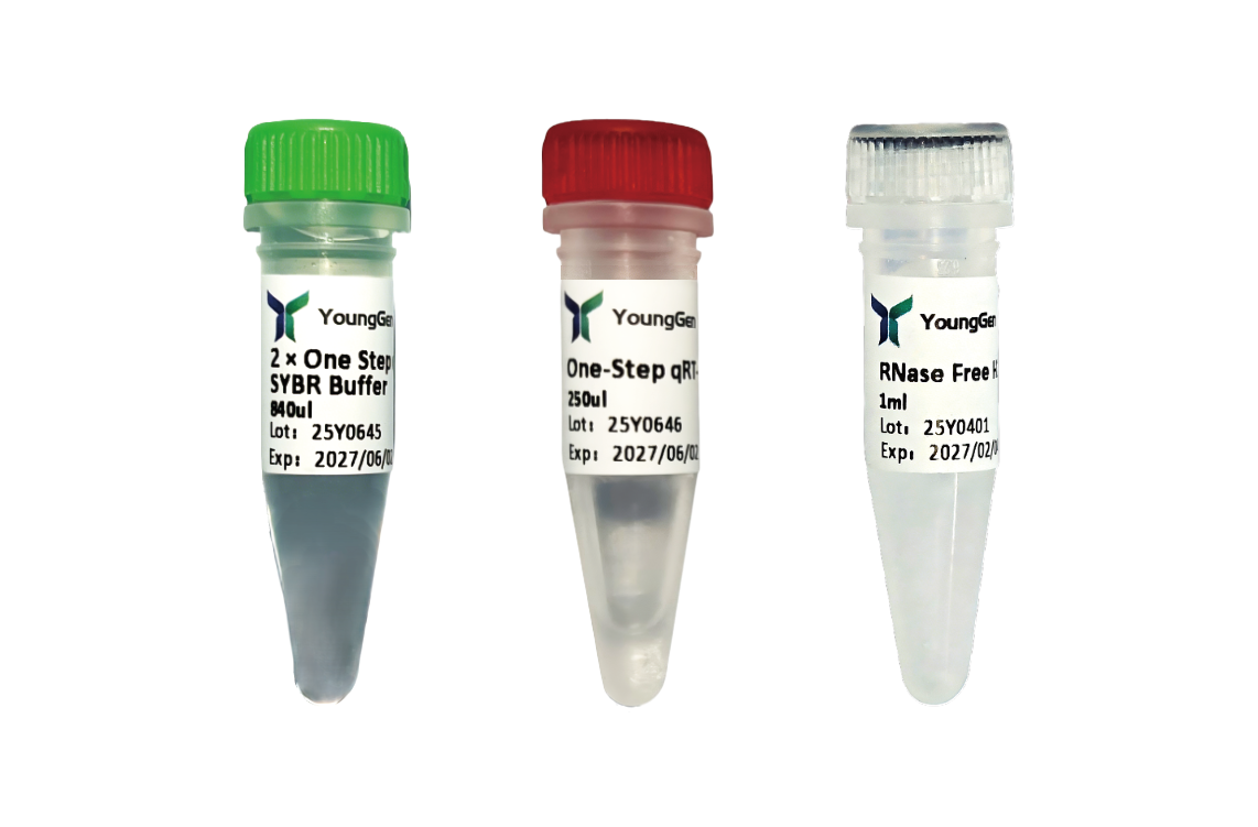 HP One Step qRT-PCR SYBR Kit