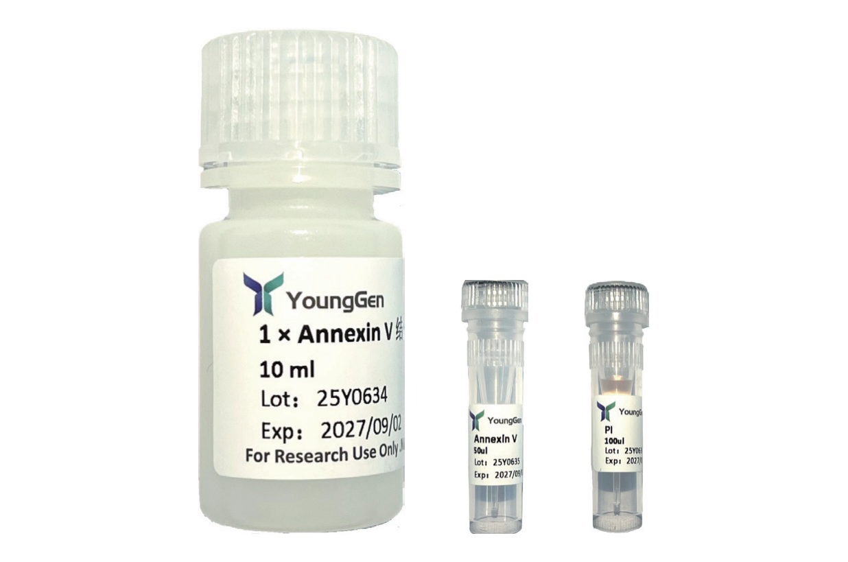 488-Annexin V/PI Apoptosis Kit