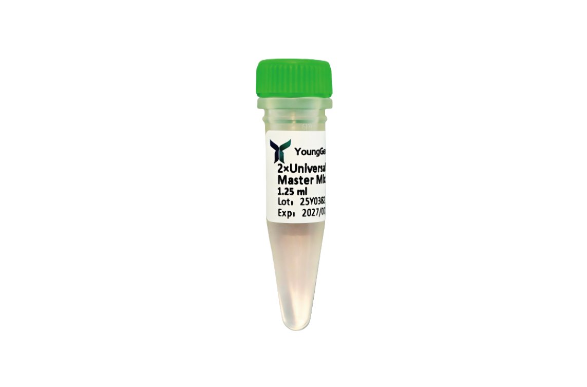 2×Universal SYBR qPCR Master Mix