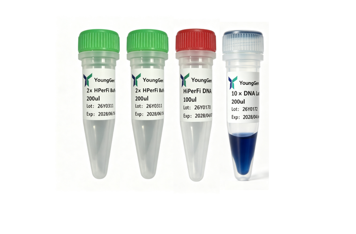 HiPerFi DNA Polymerase