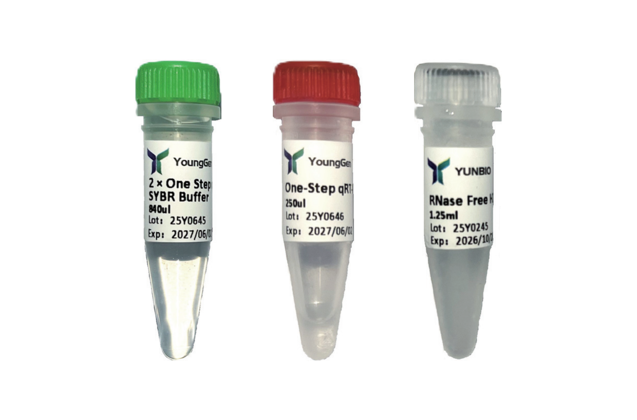 HP One Step qRT-PCR SYBR Kit
