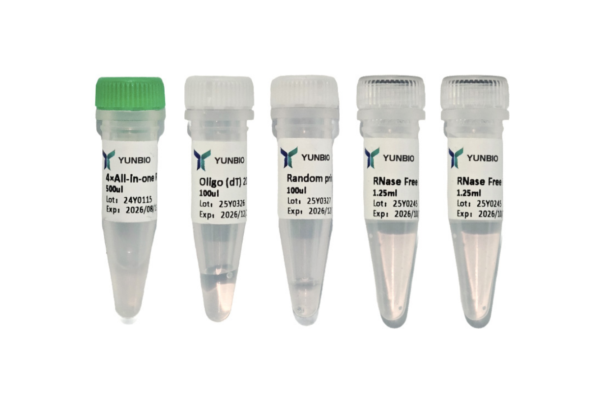 HP qRT  Master Mix(+gDNA Remove)