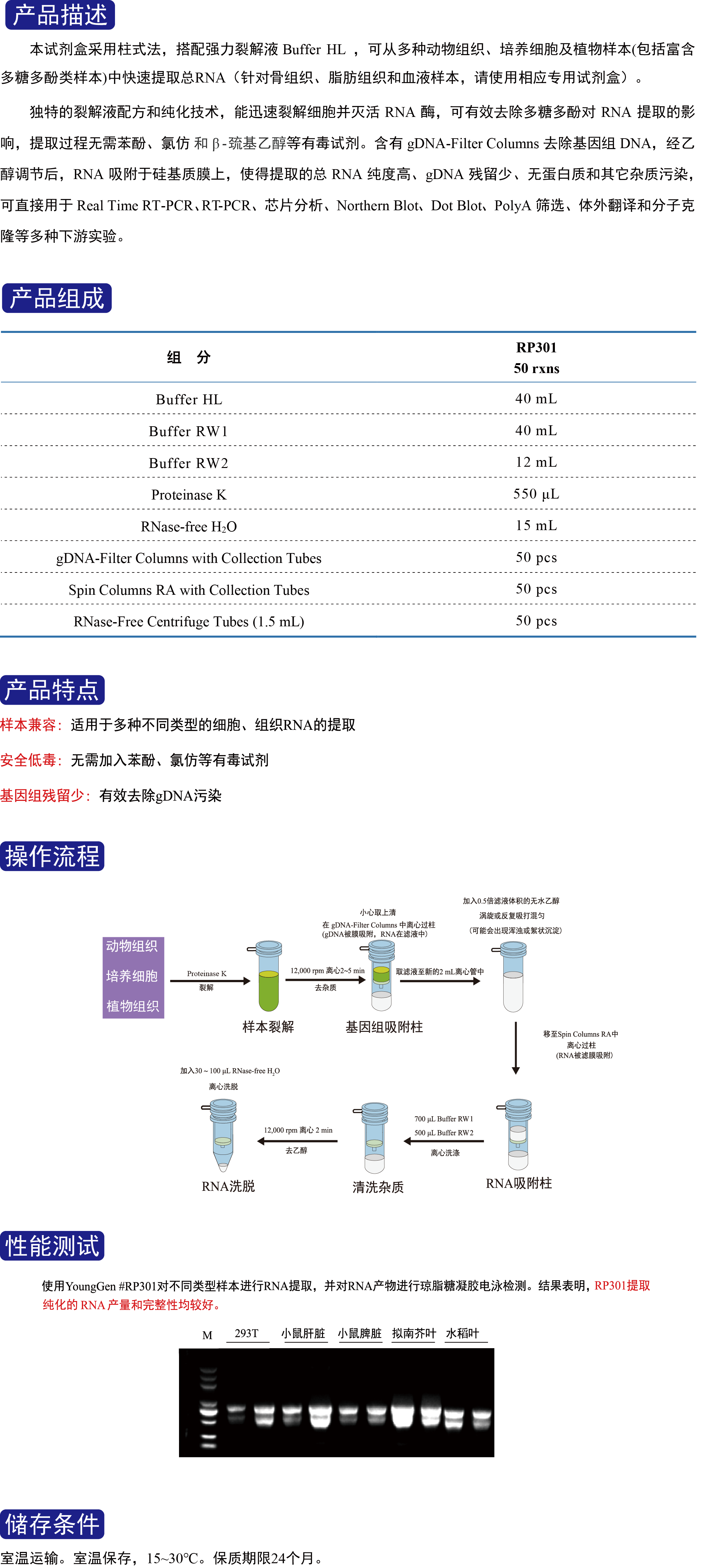 RP301官网上传.png